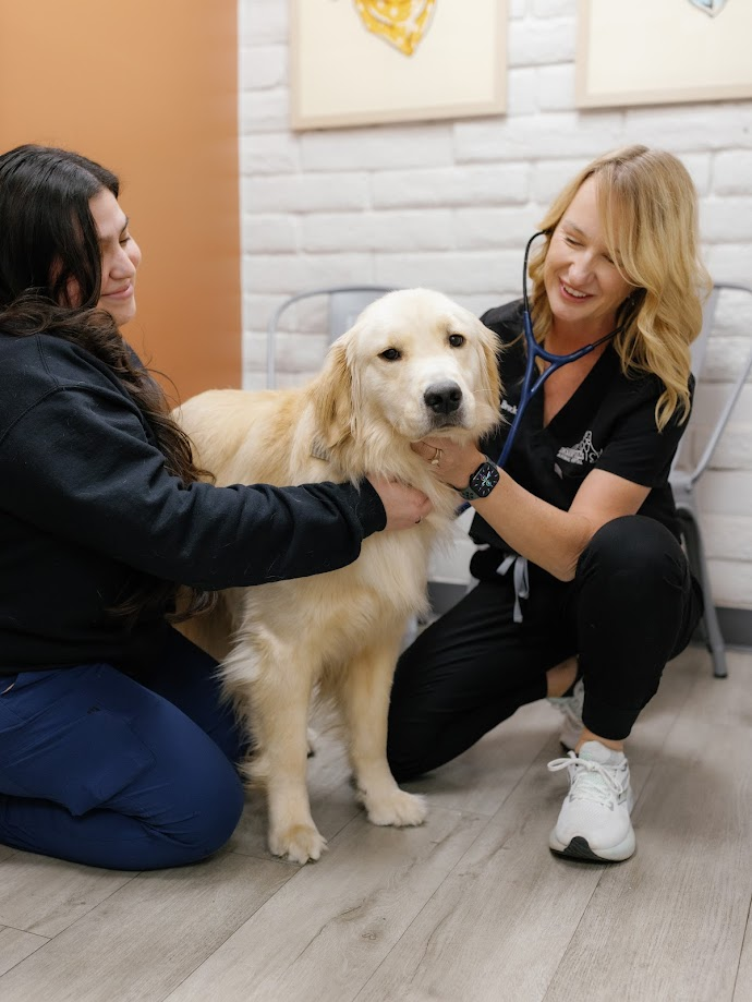 Proactive Wellness Care